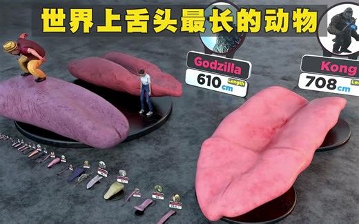 不同动物、鸟类、昆虫、爬行动物和虚构人物的舌头大小比较
