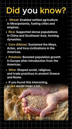Foods That Shaped Civilizations