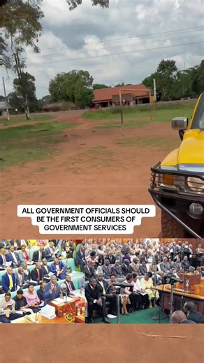 Government Officials as Primary Consumers of Services