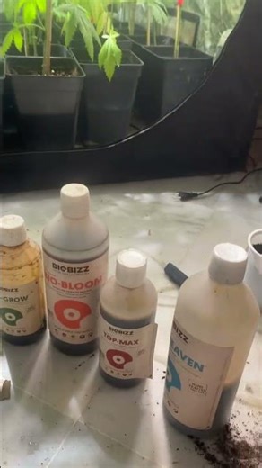 Así regamos con biobizz🌱