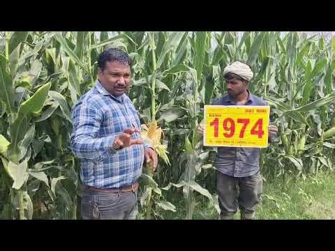 WhatsApp Video 2026 03 21 at 11 08 01 PM