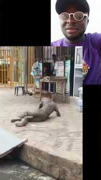 omg police need to investigate this