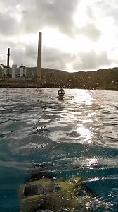 144K views · 757 reactions | Mermaid from idaho #hawaii #underwater #ocean #swim #swimming #dive #diving #diver #water #explore #adventure #fyp #foryou #hawaiian #hawaiilife #hawaiianstyle #mahalo #oceanlife #tropics #oceanside #oceanviews #lost #aqua #aquascape #underwaterworld #underwaterlife #underwaterphotography #photographer | CEO Of The Ocean | Facebook