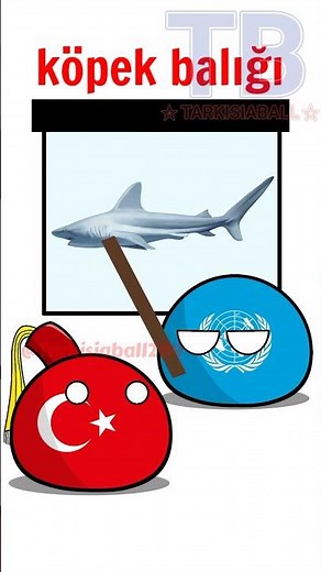 Shark In different language || CB #tarkisiaball #countryballs #shorts