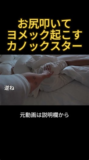 ヨメックのお尻叩いて起こすカノックスター#カノックスター #ヨメック