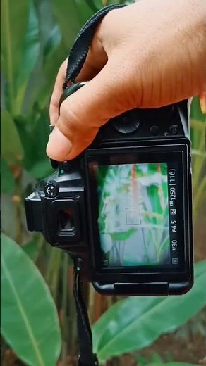 Nikon D5200 test and review #DarwenTV