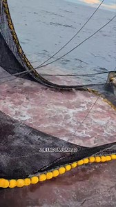 Catch of the day 50 tons Skipjack Tuna Thank you Lord 🙏 Blessed. #jjrendonjumuad #tuna #followerseveryone #mananagat #mangingisda #fishing #tunafishing #fisherman #fishingislife | JJ Rendon Jumuad