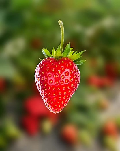 "Master Seamless Transparency in Photoshop – Advanced Adobe Tutorial video credit: @designwithabir #PhotoshopTutorial#TransparentEffect#AdobePhotoshop#PhotoshopDesign#GraphicDesignTips#DigitalArtTutorial#AdvancedPhotoshop#CreativeEditing#DesignWithAbir#PhotoshopMagic | From Fantasy To Reality