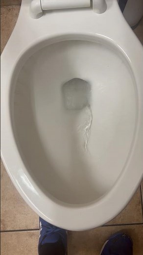 Kohler highline pa toilet flush