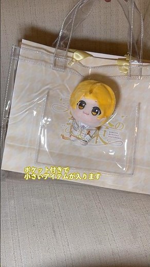 Convenient clear bag for live performances