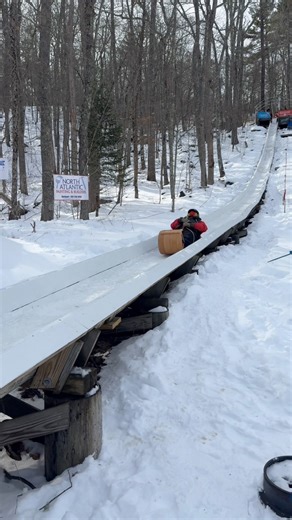 The 35th annual U.S. National Toboggan Championships are underway this weekend at the Camden Snow Bowl! The event is the ski mountain's largest fundraiser, and also one of the biggest winter events in Maine | Connor Clement