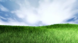 Green Grass Background Grass Moving Wind Stock Footage Video (100% Royalty-free) 1982596 | Shutterstock