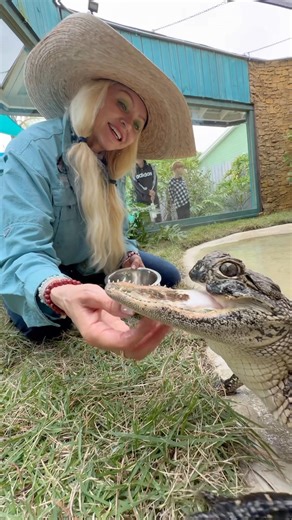 Jawlene the Alligator! #youtubeshorts #alligator #shortsfeed