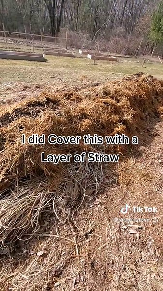 Innovative Garden Mound Gardening Techniques