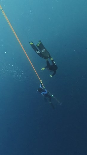 1.4K views · 20 reactions | What Beginners in Freediving Need to Know...