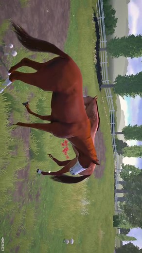 Star stable ismt letting me in atm so thats why i havent posted much of me playing it #rivalstartshorseracing #rivalstars #starstable #horseriding #fypシ #fyp