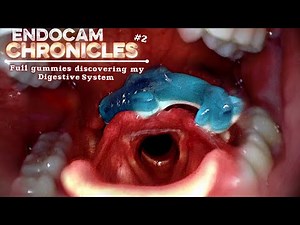 [tw:VORE] Whole gummies down my gullet! With stomach cam, 60FPS (endocam discord livestream repost)