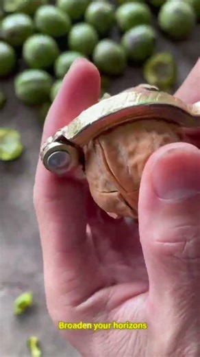 Walnut shelling operation #Remove Shell