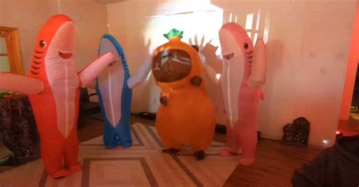 Ideum on Reels | Facebook