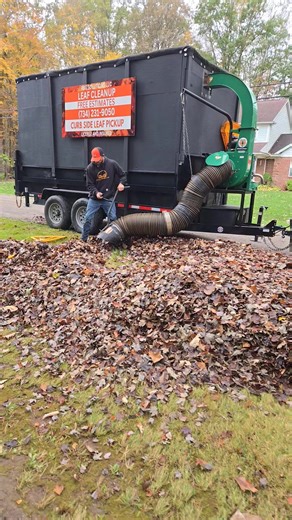 Tired of raking and bagging leaves? Let us take care of it for you! Just get them to the curb and we'll handle the rest. Full yard cleanup services also available. 734-231-9050 | R&G Solutions LLC