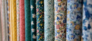 Bernina Overlocker & Serger Combo