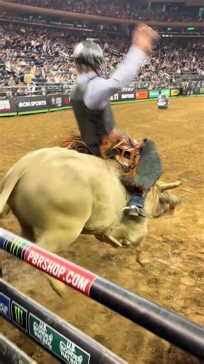 Back in the @The Garden this weekend 😏 #pbr #utb #bullriding #newyork #nyc #madisonsqauregarden | Bull Riding