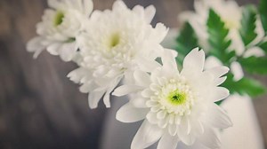 Teaching the Atonement Object Lesson (1 John 2:2) - Ministry To Children