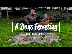 A Days Ferreting - In The Lake District