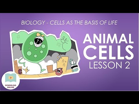 Animal Cells Lesson 2 - Structure and Function