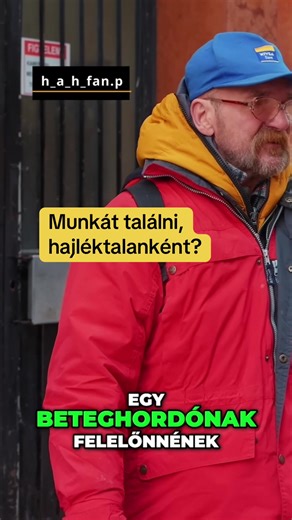 Új Esélyek a Munkaeröpiacon!