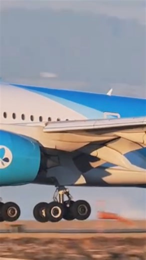 🌇 French bee Airbus A350 arrives at SFO under golden sunset skies. 💡 The jet glides in smoothly, reflecting the warm Bay Area evening light. ✈️ Follow SF Flights for more A350 arrivals and golden-hour aviation shots. #aviationlovers #planespotting #aviationgeek #frenchbee #airbusa350 #sunsetlanding #widebodyjet #goldenhouraviation #sfflights #fblifestyle | SF.Flights