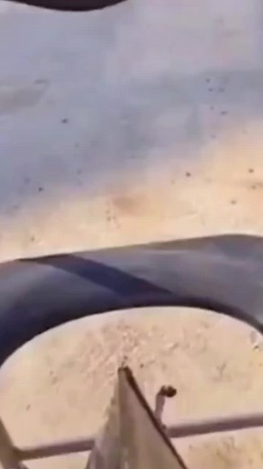 Google me 😉 #thecutestuffedanimal #ginger #greeneyes #redhead