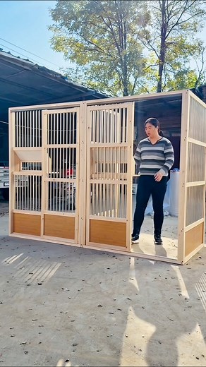 107K views · 1K reactions | Small size racing pigeon loft #reelsvideoシ #fblifestyle #racingpigeons | Amazing Loft | Facebook