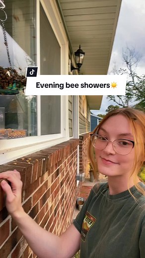 Kacies Honey Pot on TikTok