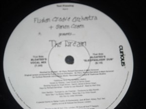 Fusion Groove Orchestra   Simon Green - The Dream