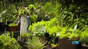 3.2K views · 25 reactions | Get back in the garden with The Garden Gurus, this weekend on Channel 9  | Channel 9 | Facebook