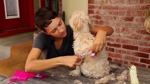 Is your pup afraid of electric clippers? Now, you can groom them gently and safely. | Scaredy Cut