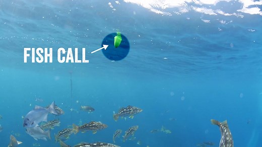 The TactiBite Fish Call - What is it? How does it work? Why do you need it? Watch this video to find out! Order yours now to get in on our awesome Father's Day Sale! www.TheFishCall.com | TactiBite Fish Call