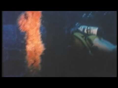 Scuba Woman exploring sunken shipwreck 1970
