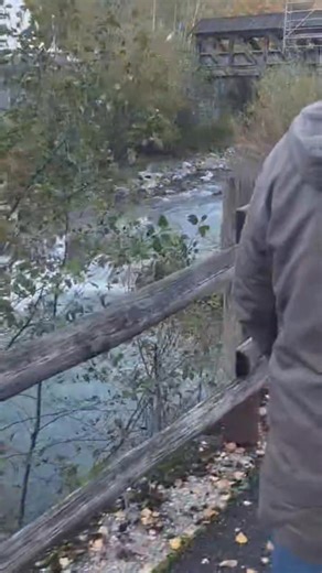 33K views · 298 reactions | Ivica Rajkovic u obilasku svoje pozicije! Bistro ivice! | Musicarska liga Crne Gore | Facebook