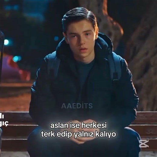 My new episode theories, code name swallow