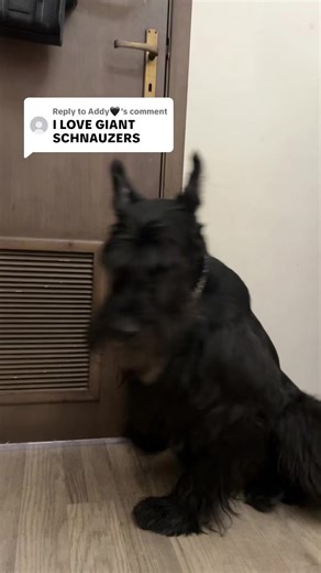 Exploring Self-Love and Confidence