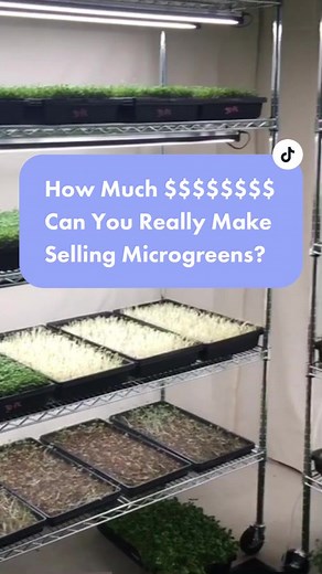 Maximizing Profits with Microgreens Farming