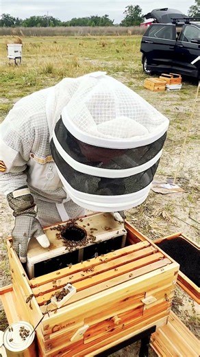Installing Italian Bees into Our Garvee Hive (No Shake Method!)