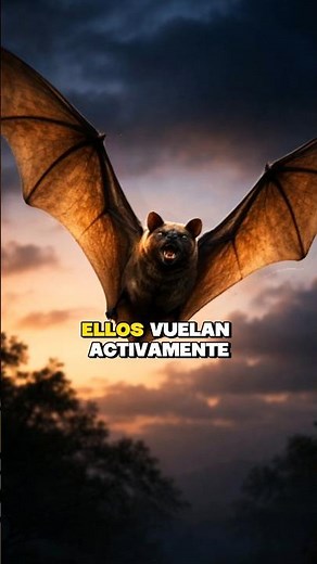 Debes ver este video