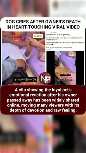 DOG CRIES AFTER OWNER'S DEATH IN HEART-TOUCHING VIRAL VIDEO