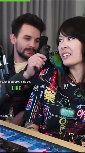 Jaiden Animations a cat plays with her bird