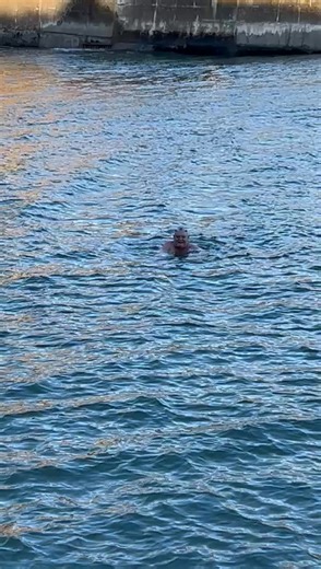 The Boss checking out the water for tomorrow’s swim in Boatstrand Co Waterford . All donations gratefully accepted for the families of our fallen Brothers https://gofund.me/71c0a8052 | Freewheelers MC Ireland