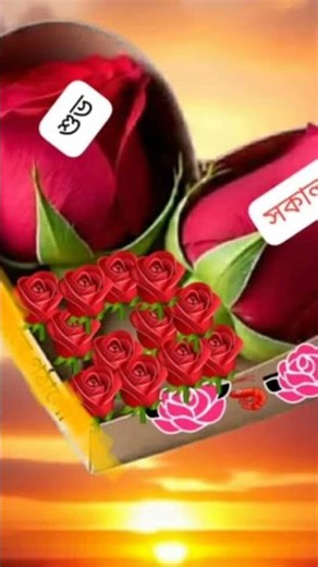 আসসালামু আলাইকুম শুভ সকাল বন্ধুরা সবাই ভালো আছেন আল্লাহ রহমতে#virly#short#pohto#post#topu#