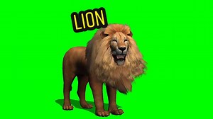 LION #lion #foryou #greenscreenvideo #greenscreeneffect #greenscreenchallenge #greenscreen
